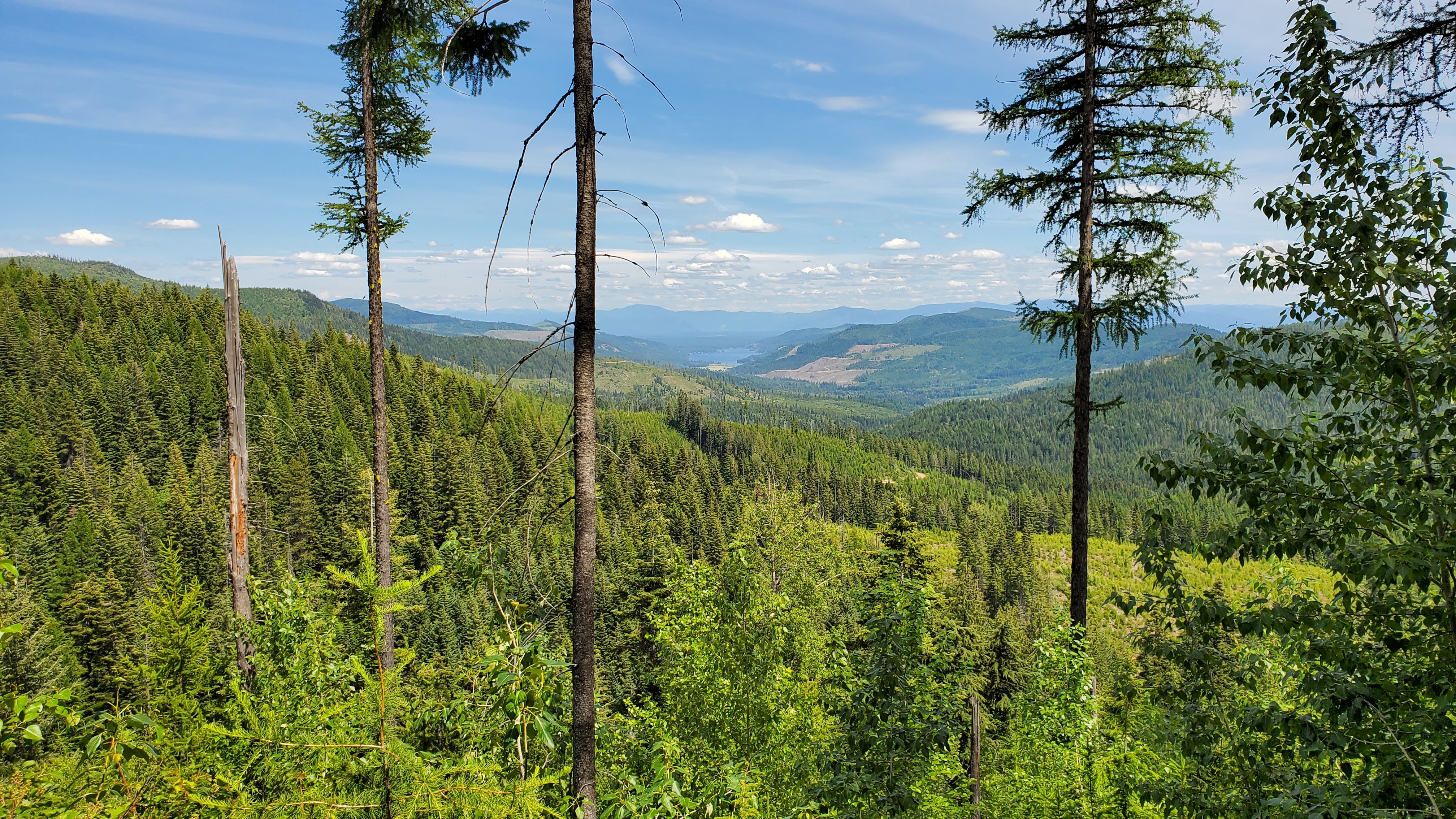 View from Mount Spokane
